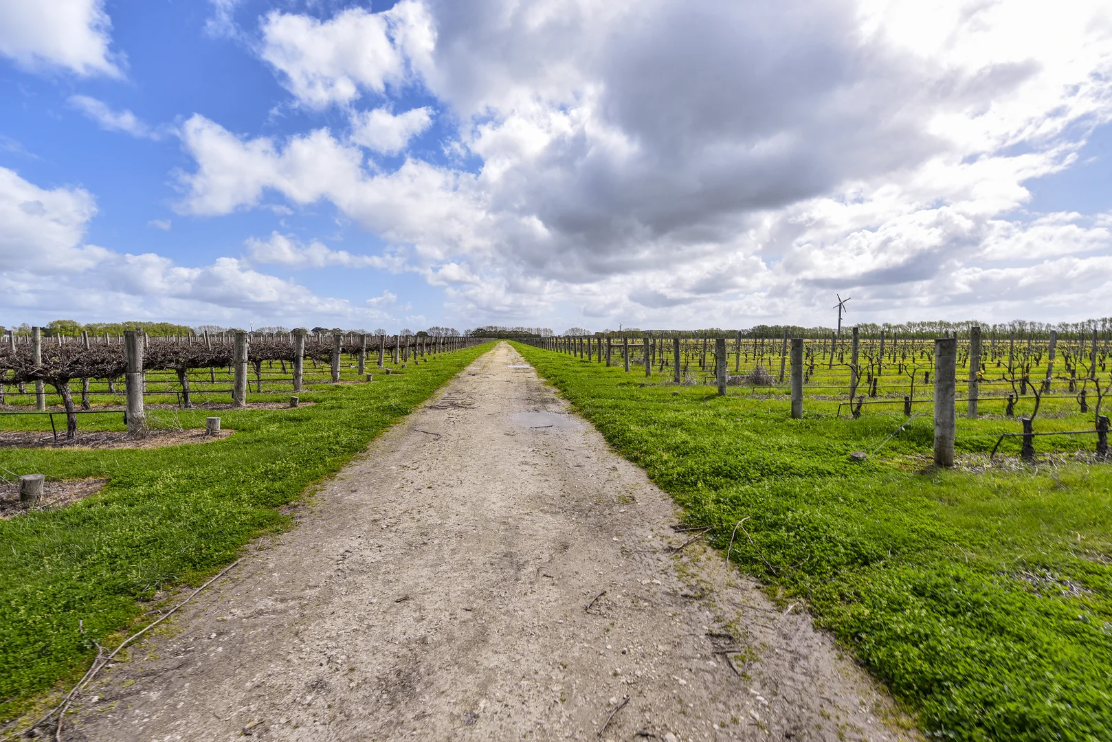 Additional image 9 of LOT 102, Bond Road, Penola SA 5277