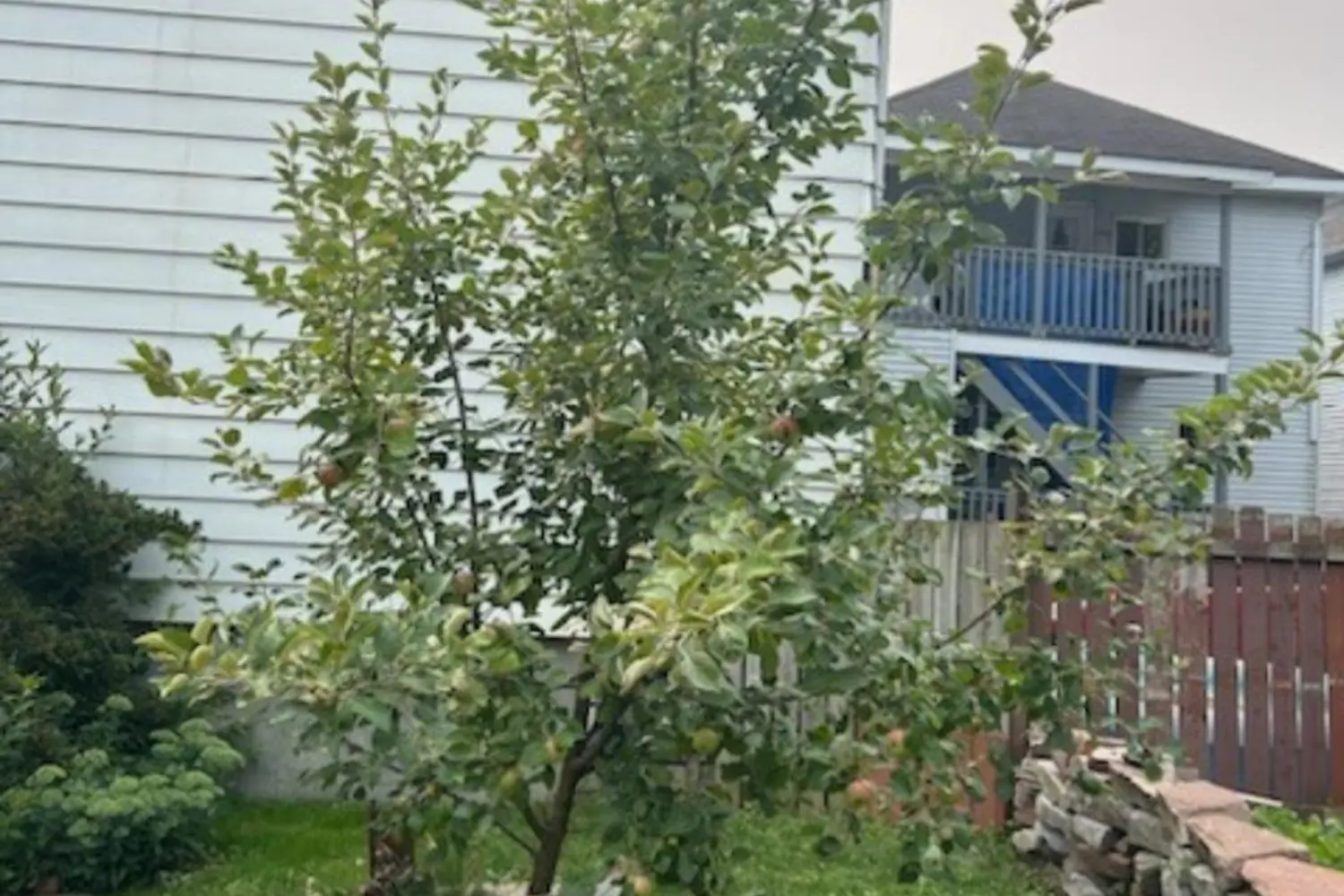 Additional image 16 of 310 Belmont Street