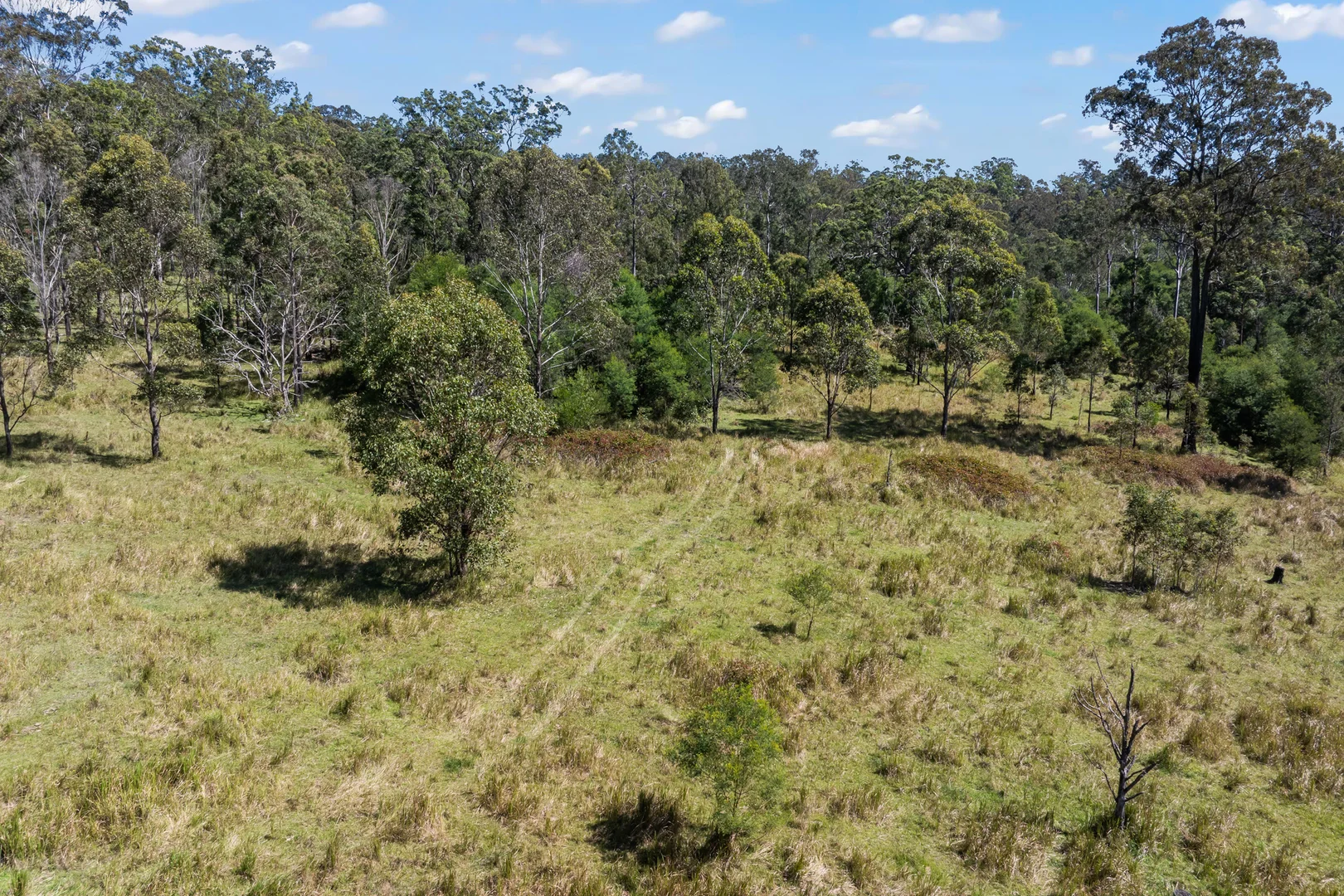 Additional image 4 of 97 Long Gully Road, Drake NSW 2469