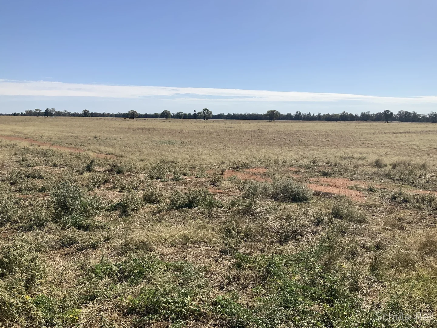 Additional image 13 of 703 Yethera Road, Tullamore NSW 2874