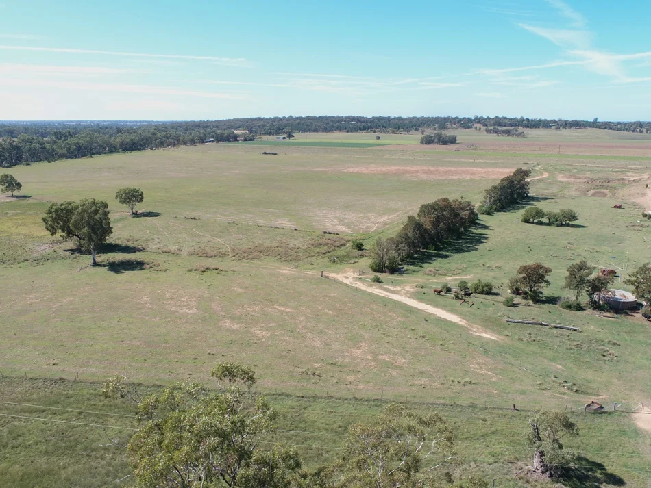 Additional image 14 of 5R Whylandra Crossing Road, Dubbo NSW 2830