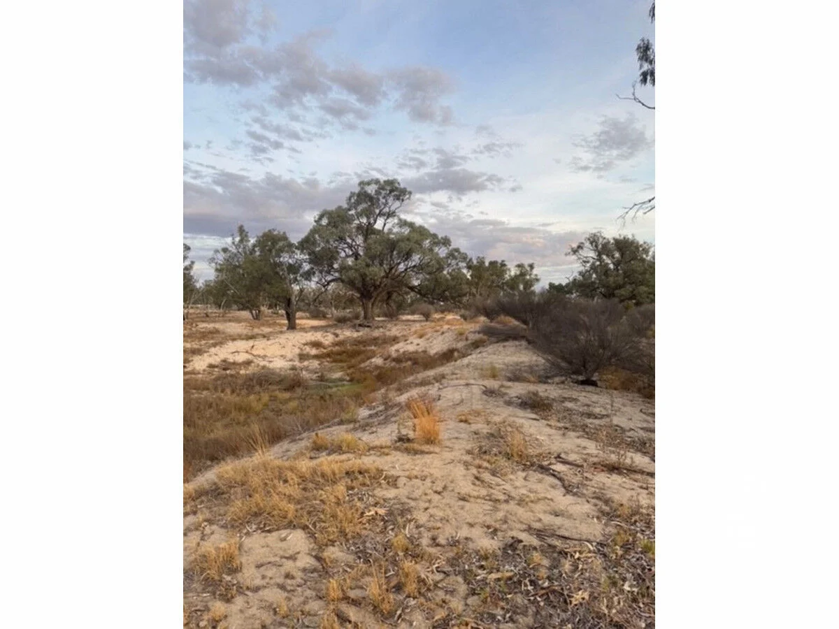 Additional image 17 of 28 River Reserve Road, Swan Reach SA 5354