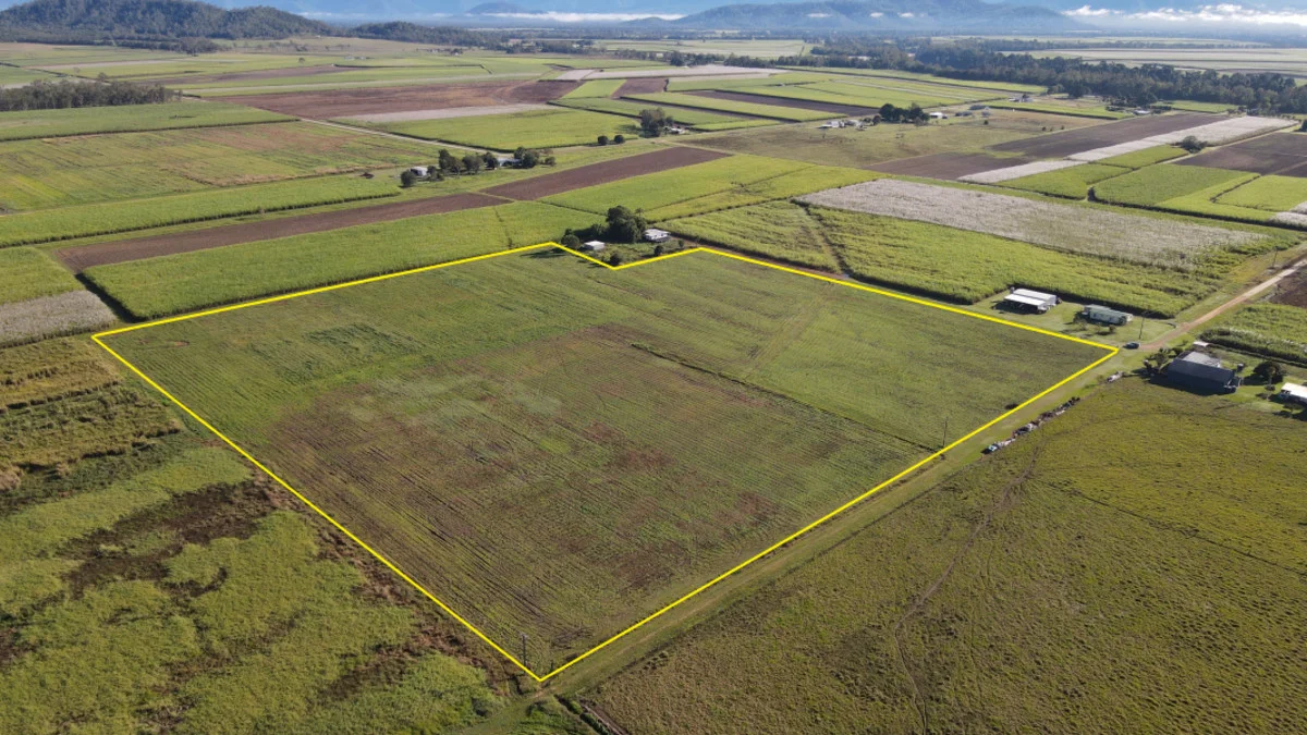 Additional image 5 of 61 Mancuso's Road, Lannercost QLD 4850