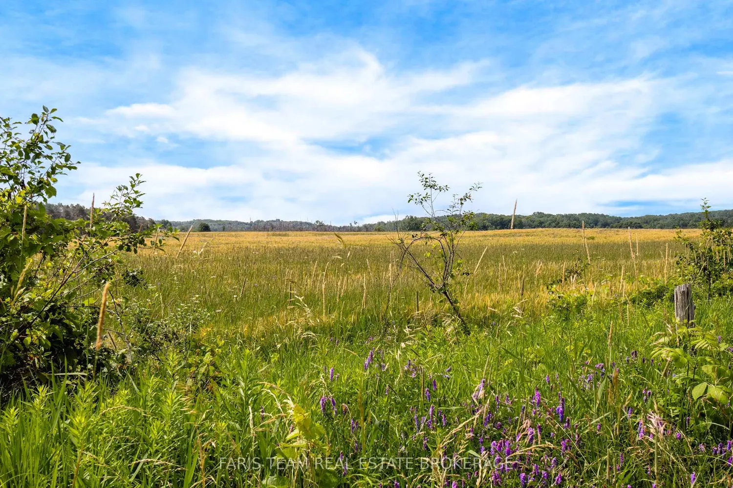Additional image 3 of 1511 Tay Point Road