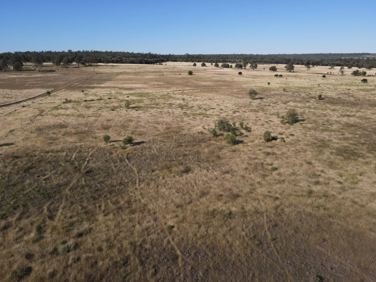 Additional image 8 of 780 Olinda Rd, Kokotungo QLD 4702