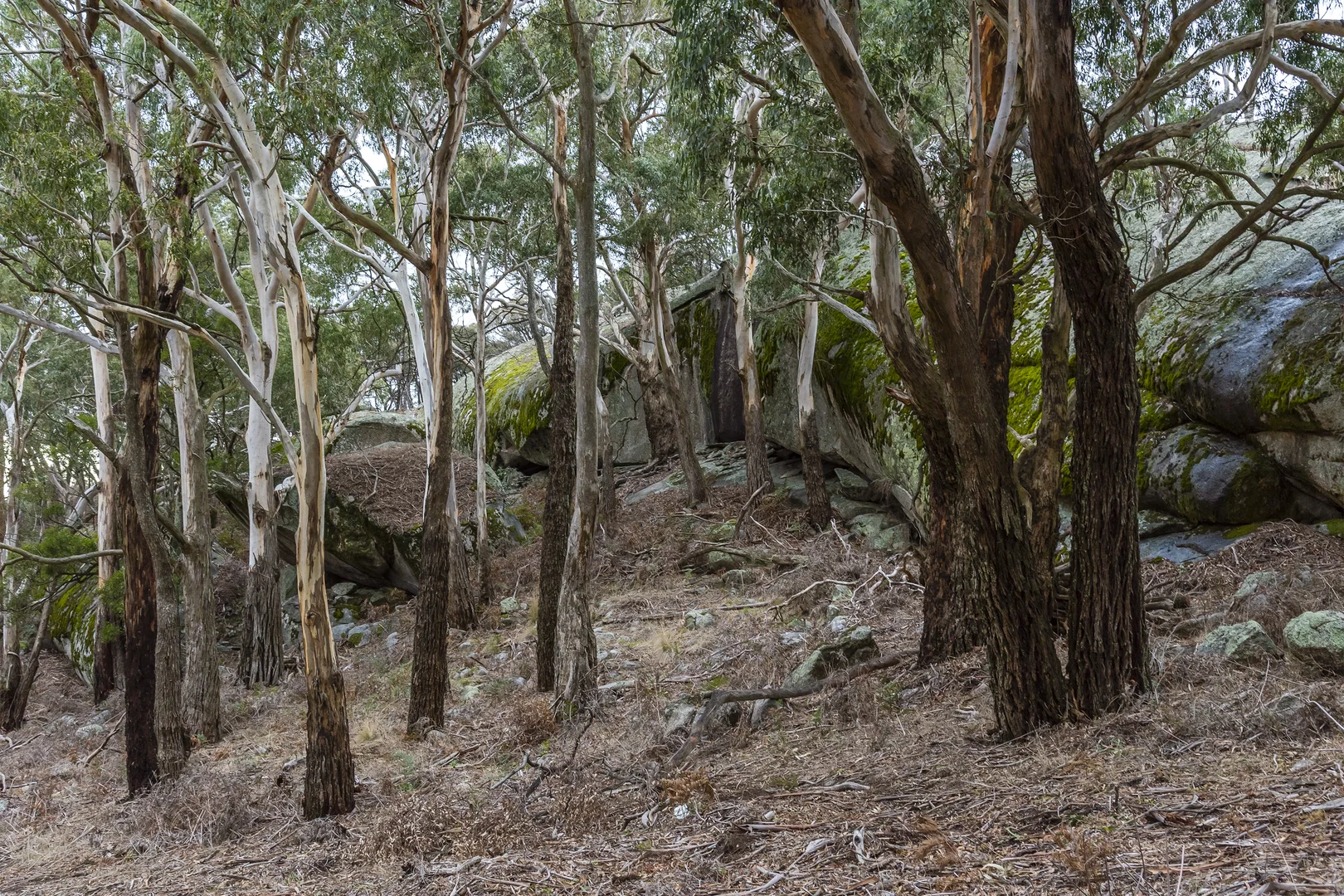 Additional image 24 of Glenhope East VIC 3522