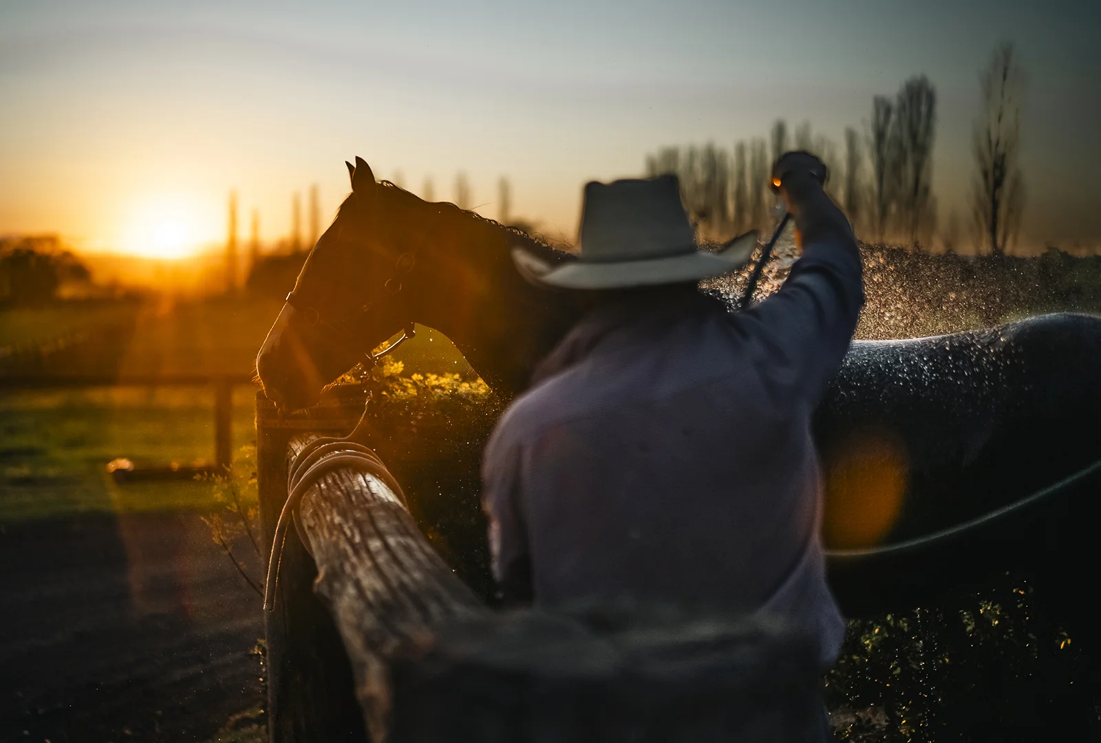 Additional image 6 of 134 Bathurst Street, Pitt Town NSW 2756