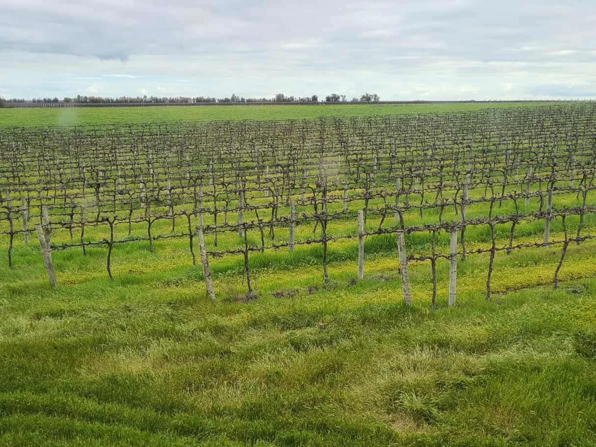 Additional image 14 of 380 Gorton Drive, Mystic Park VIC 3579