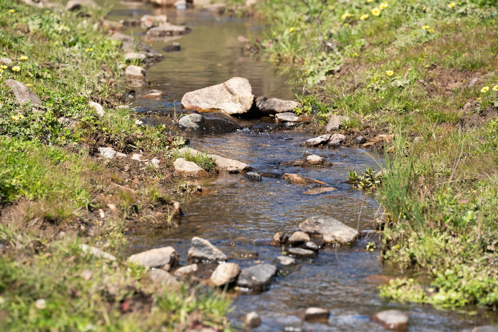 Additional image 6 of 'Part Tarragatta' Vincents Road, Talgarno VIC 3691