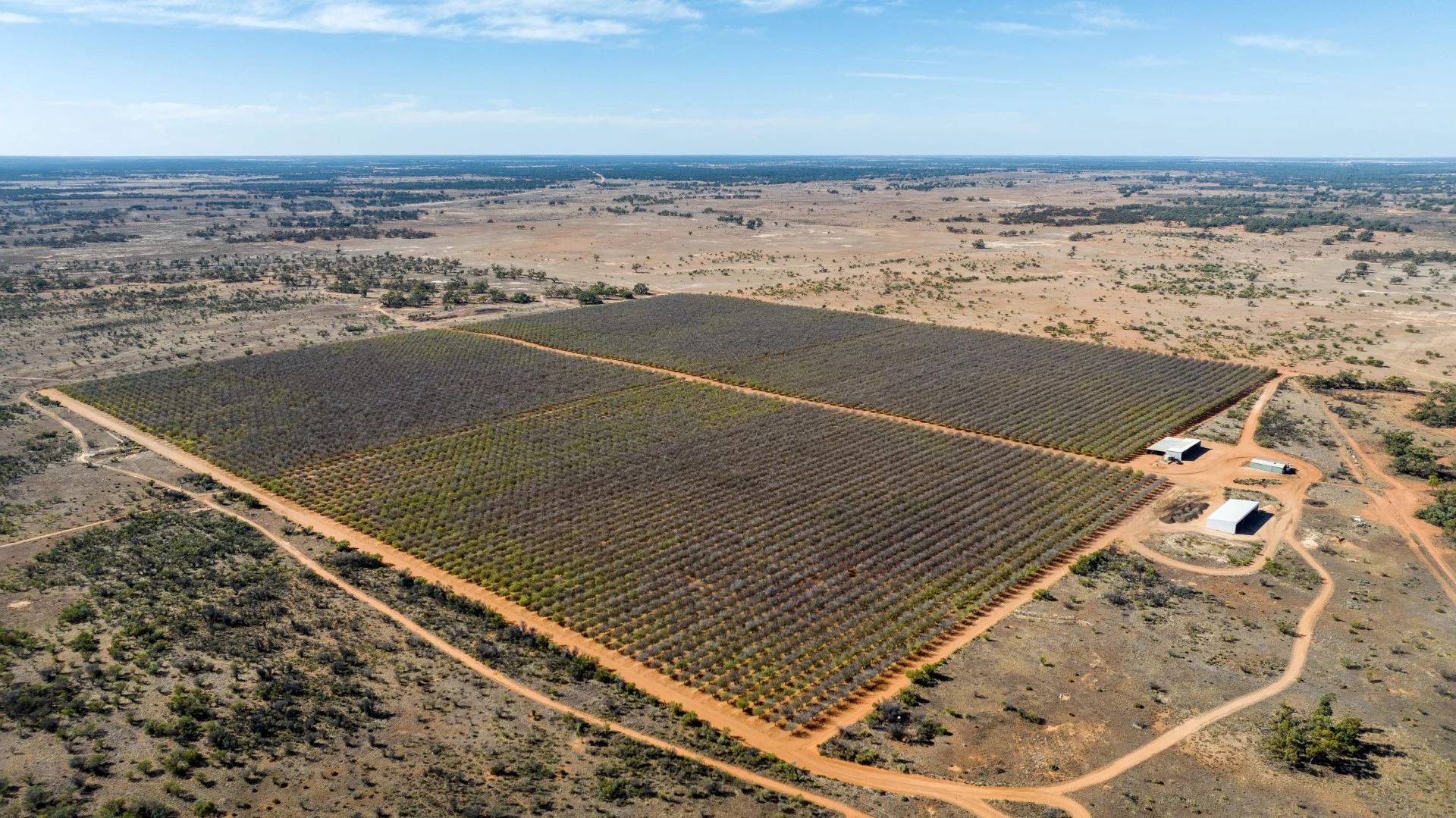 Additional image 4 of 3340 Low Darling Road, Wentworth NSW 2648