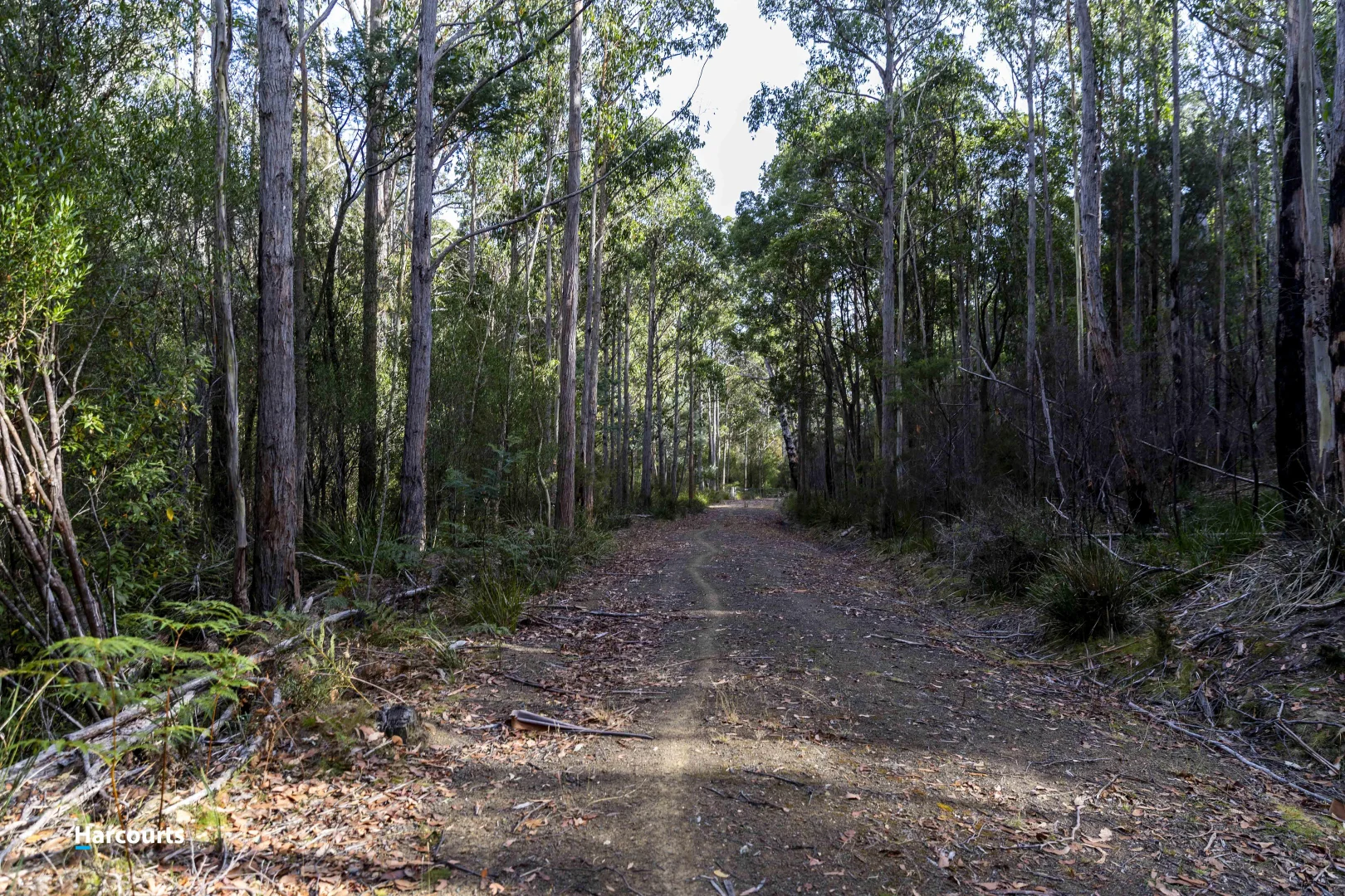 Additional image 36 of RA Basin Road, Grove TAS 7109