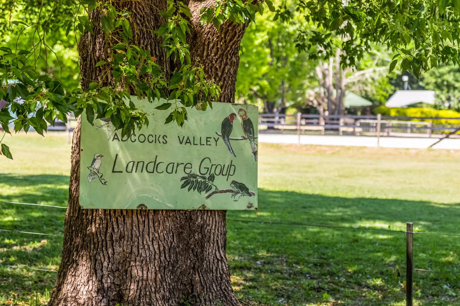 Additional image 19 of 14 Adcocks Road, Stokers Siding NSW 2484