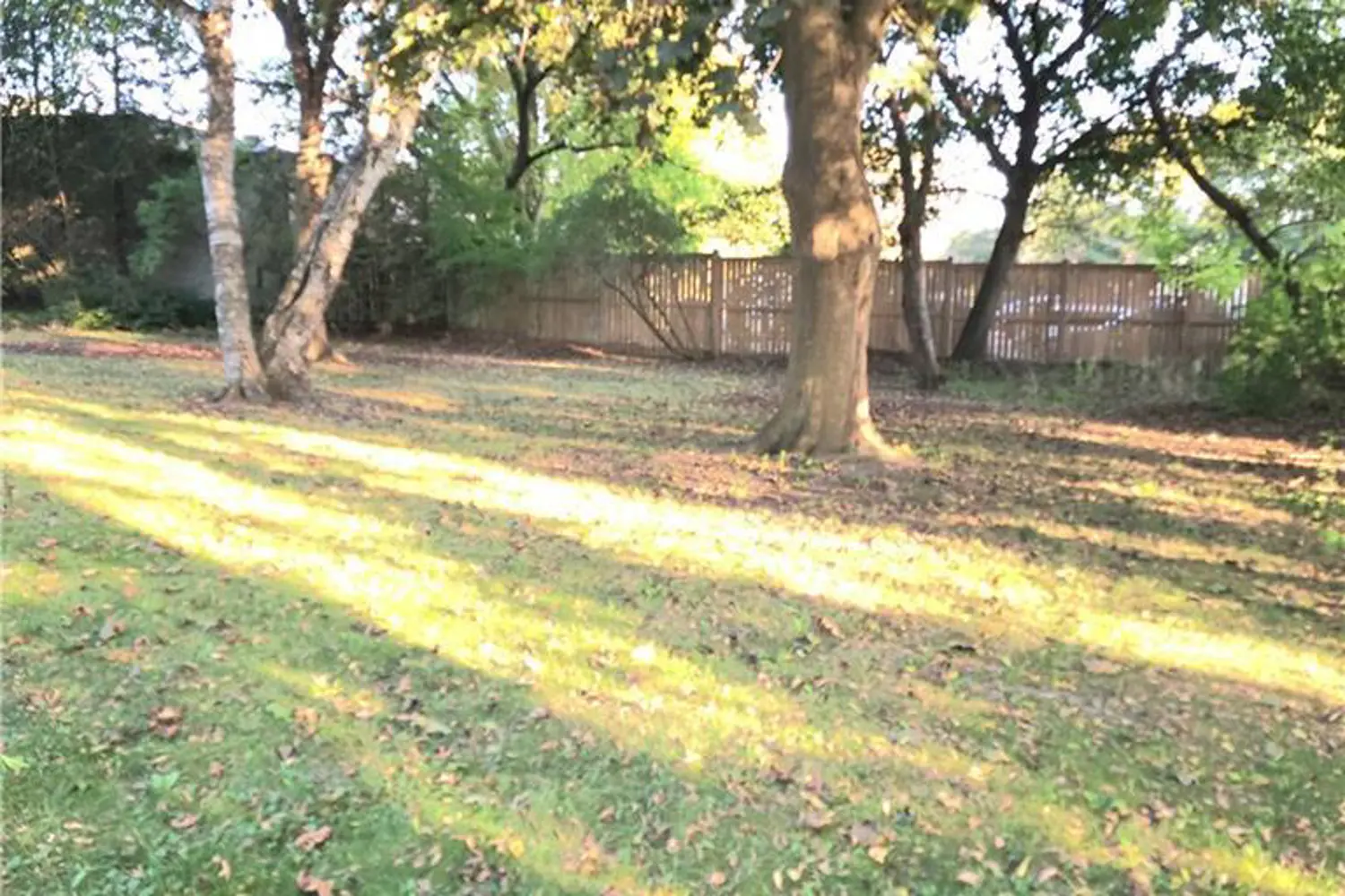 Additional image 17 of 33 Islington Avenue