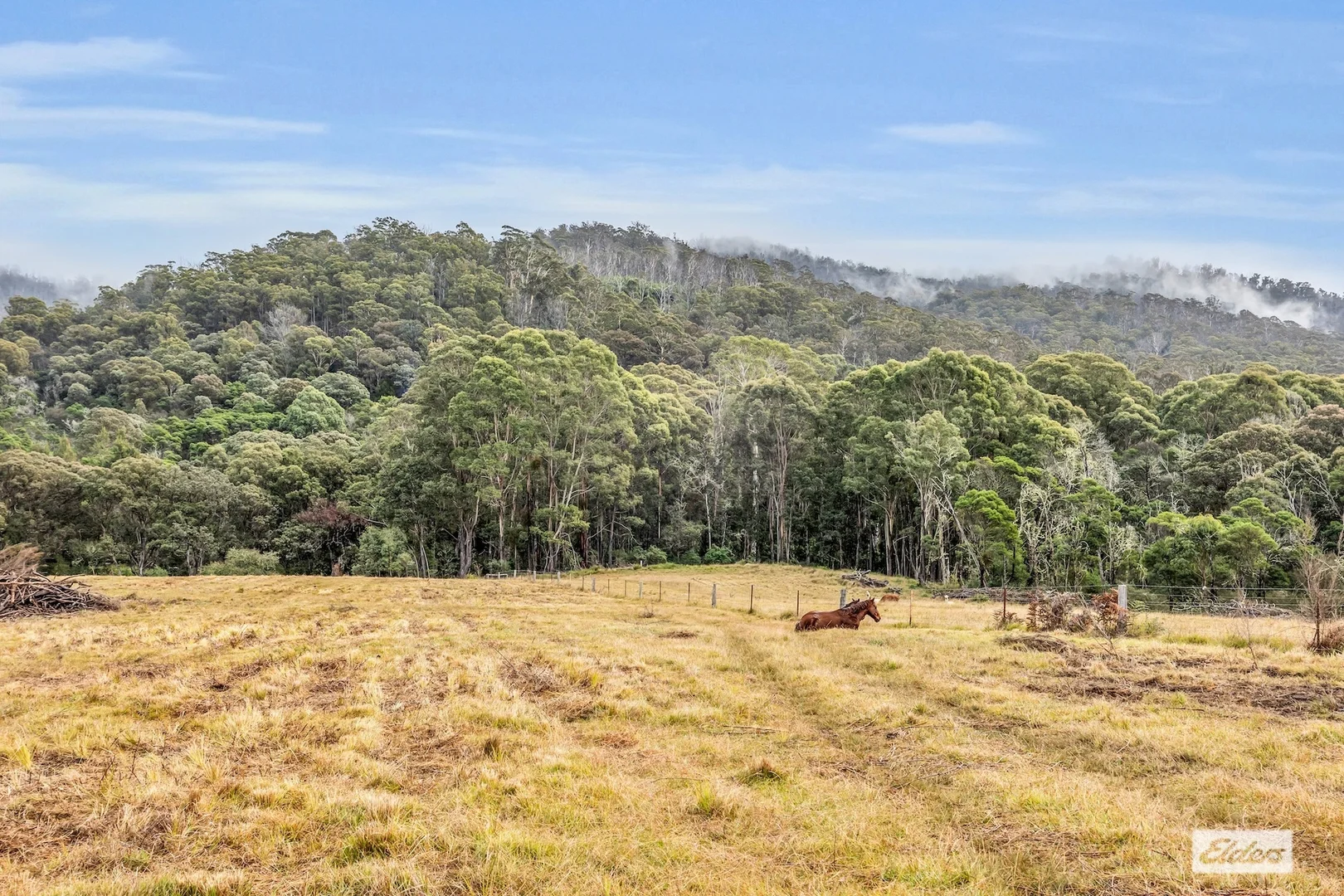 Additional image 28 of 213 Myrtle Mountain Road, Wyndham NSW 2550