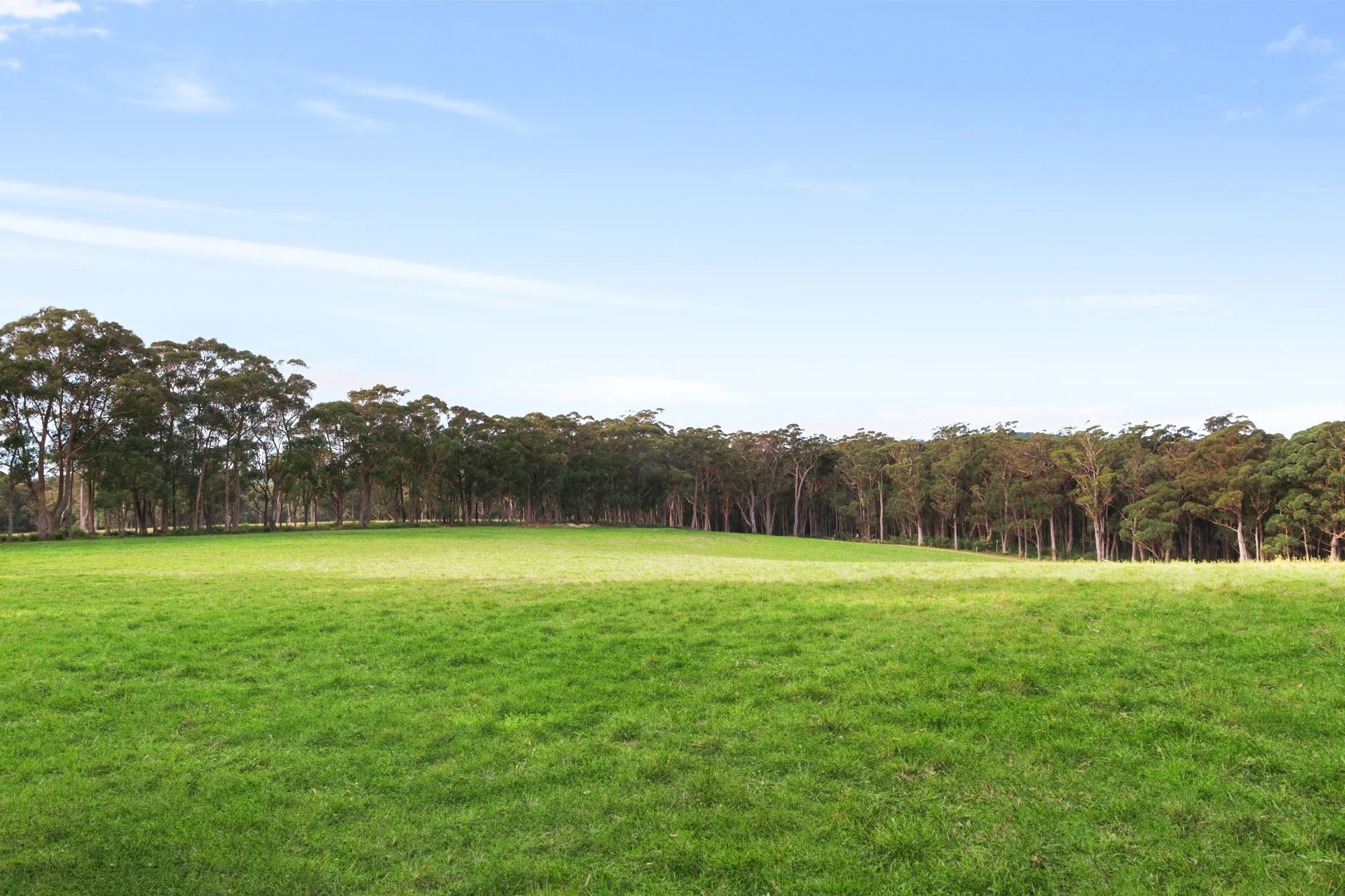 Additional image 18 of 51 & 53 Shierlaw Road, Robertson NSW 2577