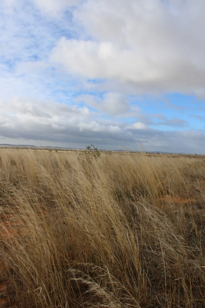 Additional image 56 of 1860 Cleary Road, Terowie SA 5421