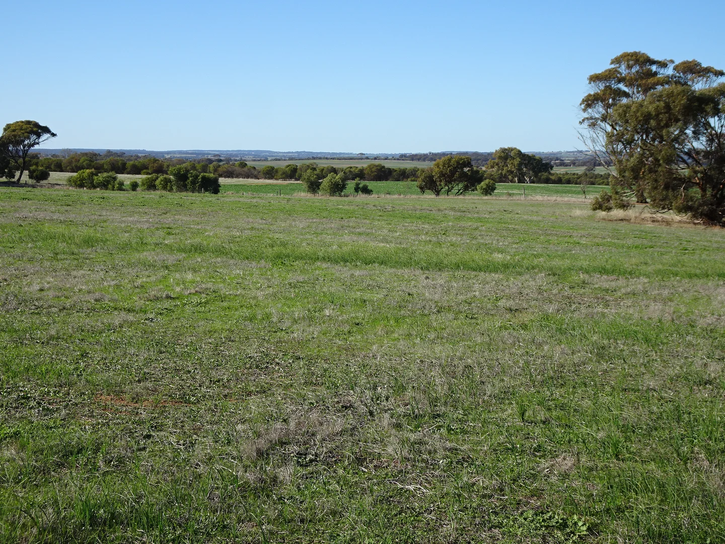 Additional image 25 of Shaddick Road, East Pingelly WA 6308