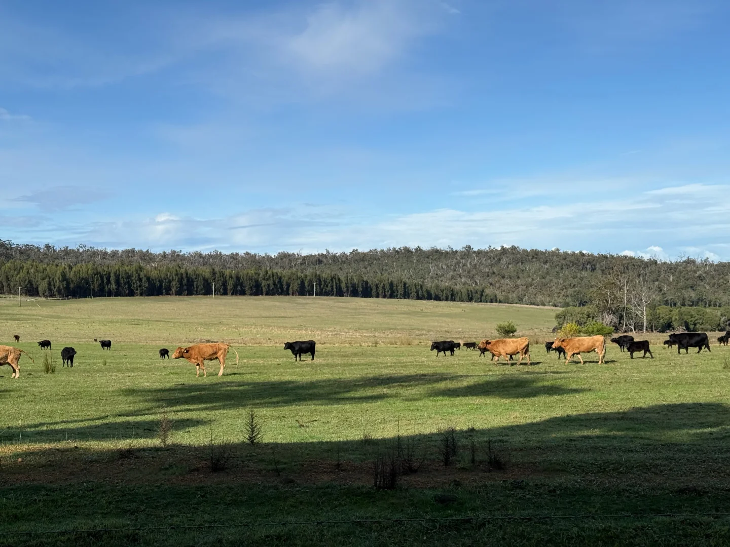 Additional image 2 of 228 Peppermint Grove Road, Middlesex WA 6258