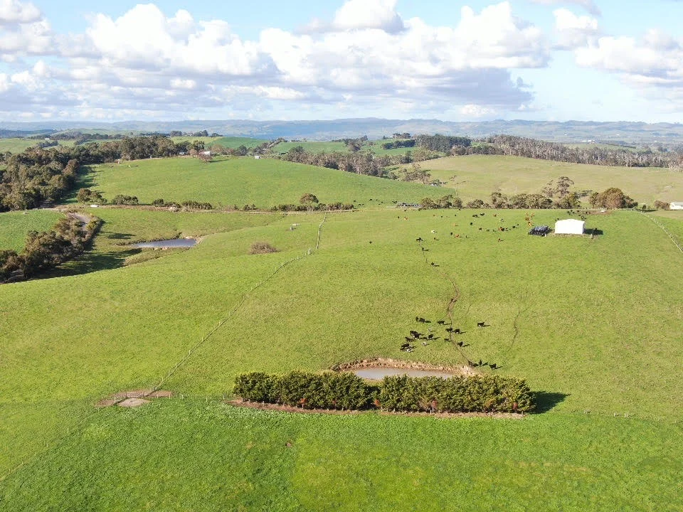 180 Old Koonwarra-Meeniyan Road, Koonwarra VIC 3954