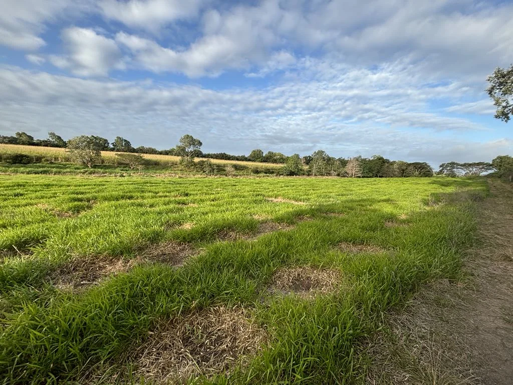 Additional image 19 of 25 Lions Lookout Road, Blackrock QLD 4850
