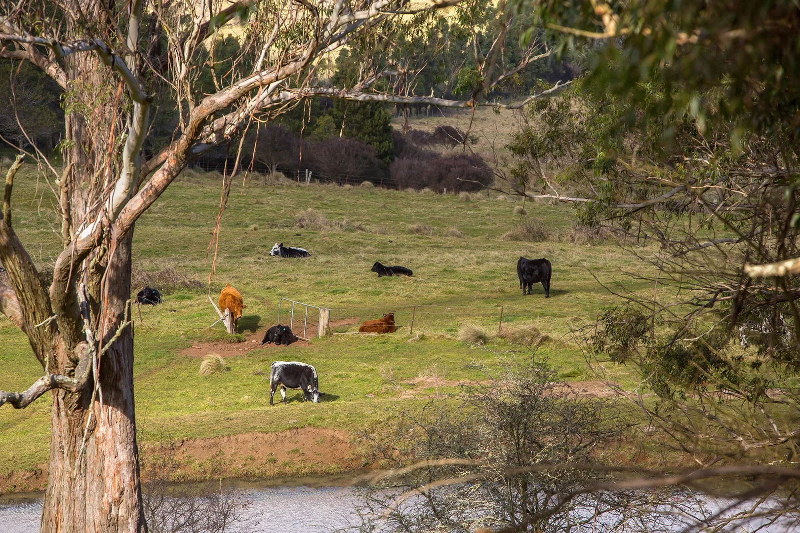 Additional image 16 of 1211 Old South Road, Bowral NSW 2576