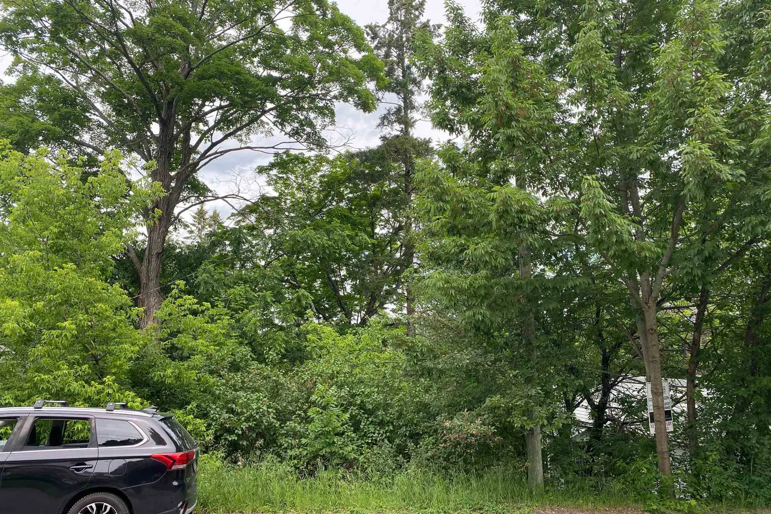 Additional image 4 of 16 Cora Street