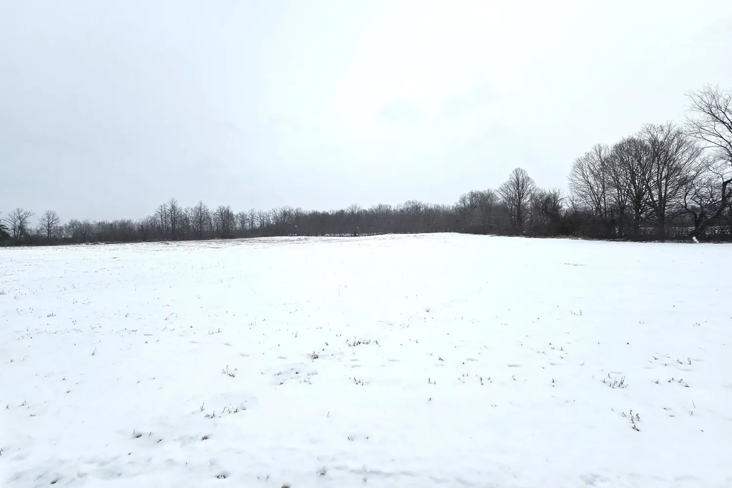 Additional image 3 of 0 Shannonville Road