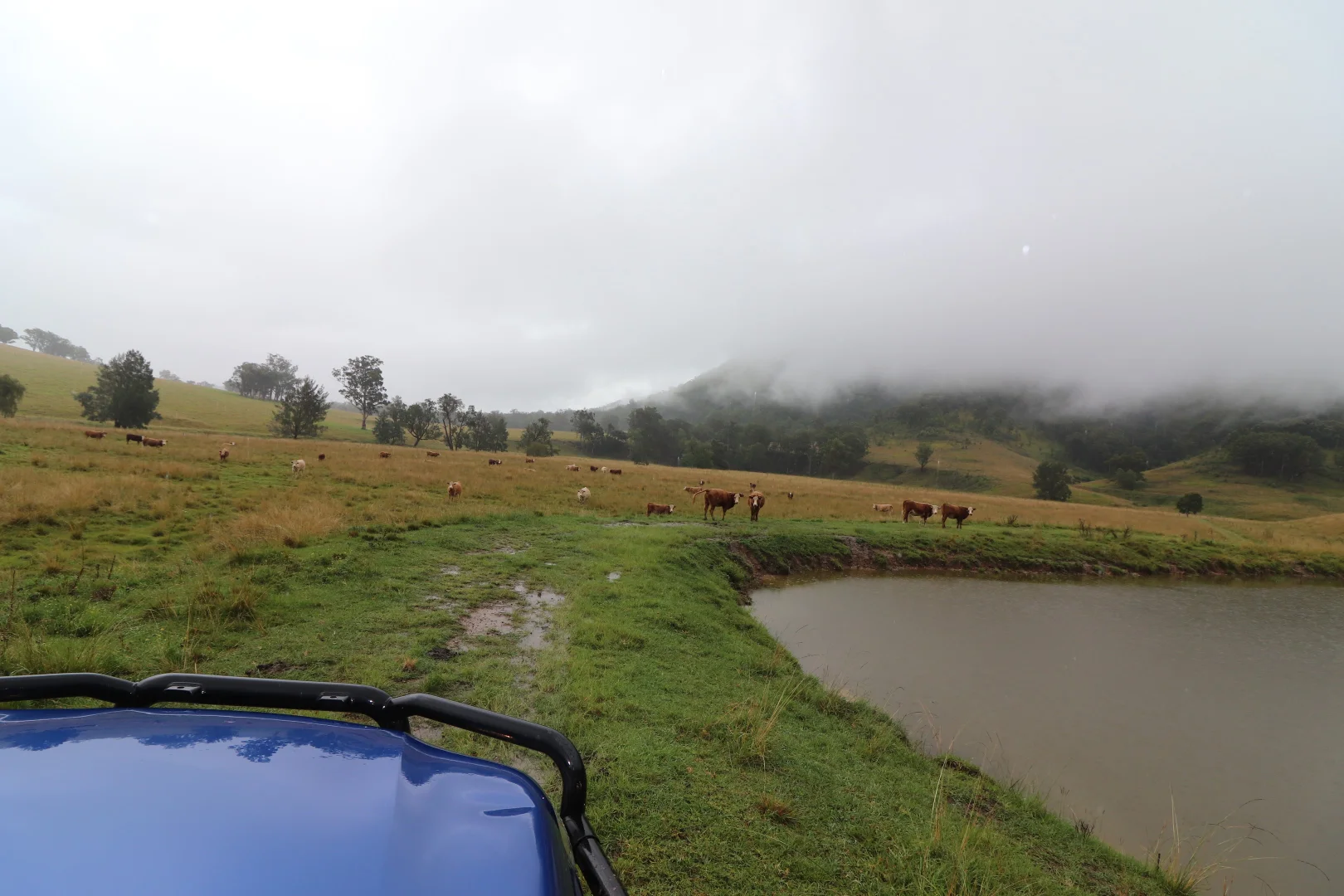 Additional image 4 of 95 Smiths Creek Road, Lower Creek NSW 2440