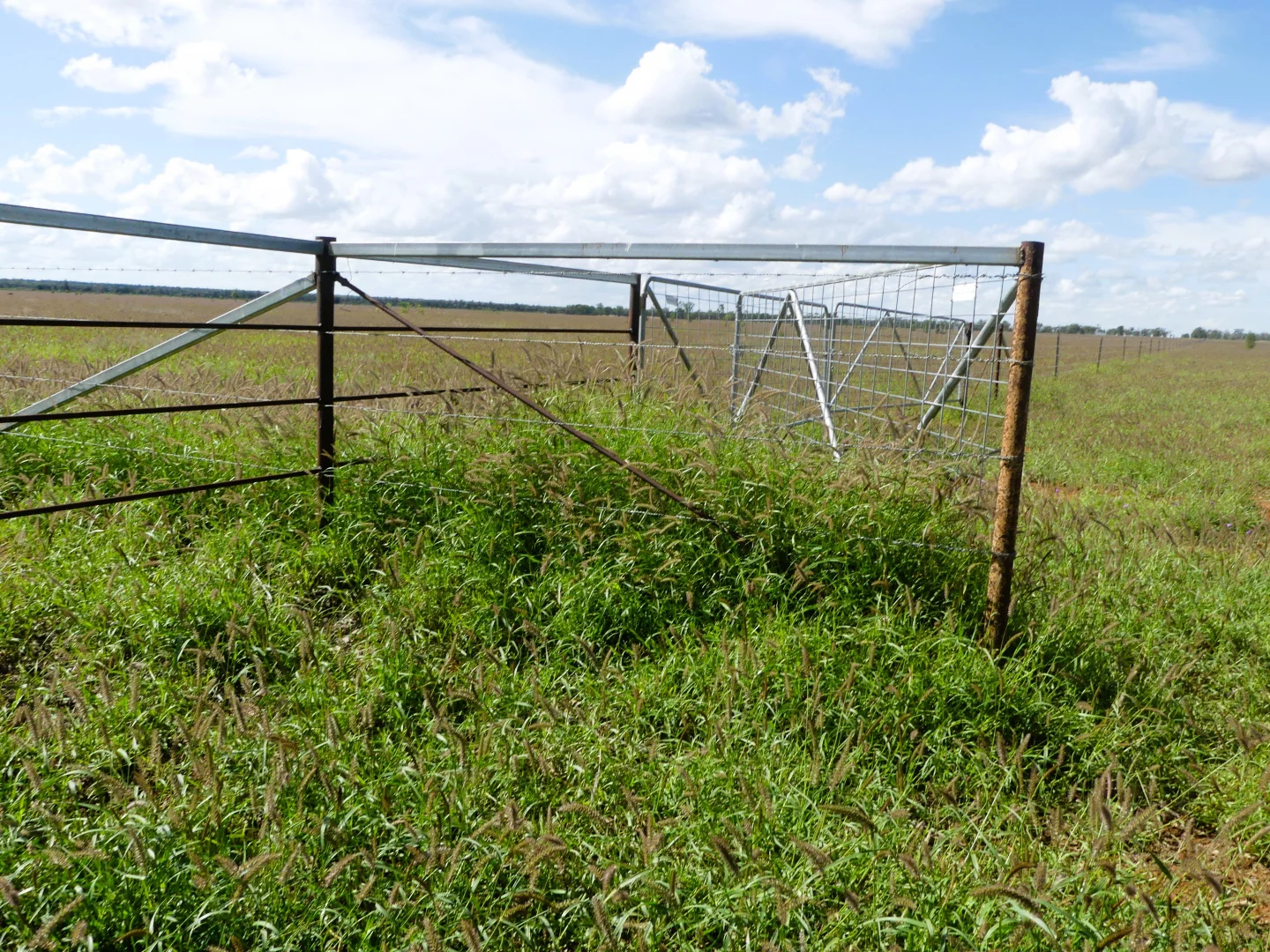 Additional image 12 of 'Ula Ula' 210 Ula Ula Road, St George QLD 4487