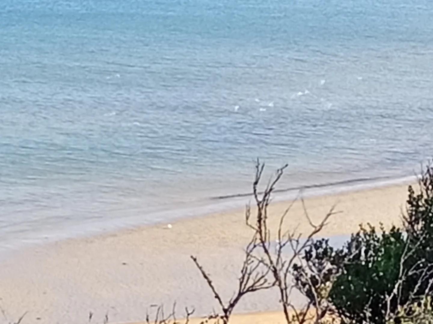 Additional image 12 of 152-158 Weatherall Road, Cheltenham VIC 3192