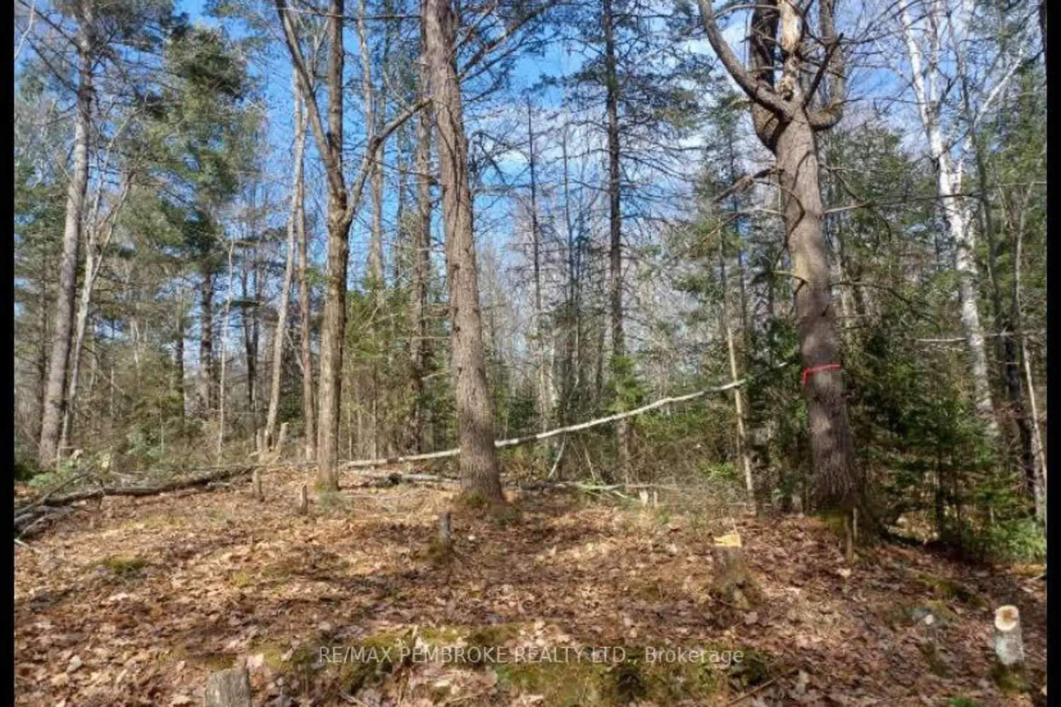 Additional image 14 of 1678 Locksley Road