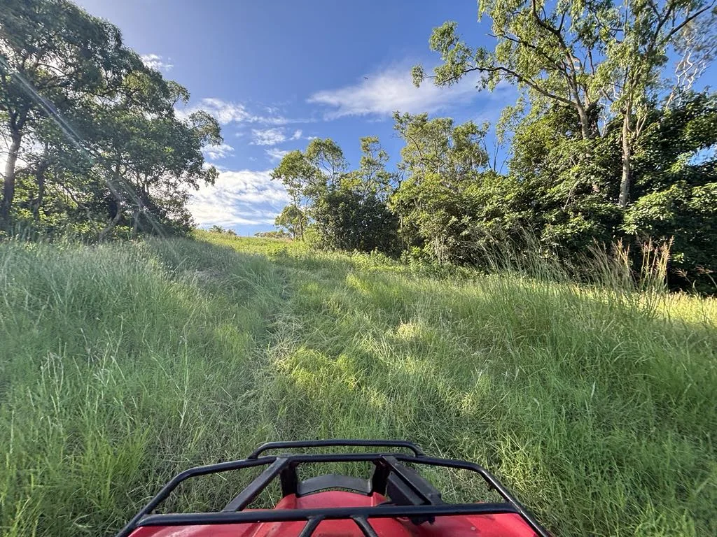 Additional image 24 of 25 Lions Lookout Road, Blackrock QLD 4850