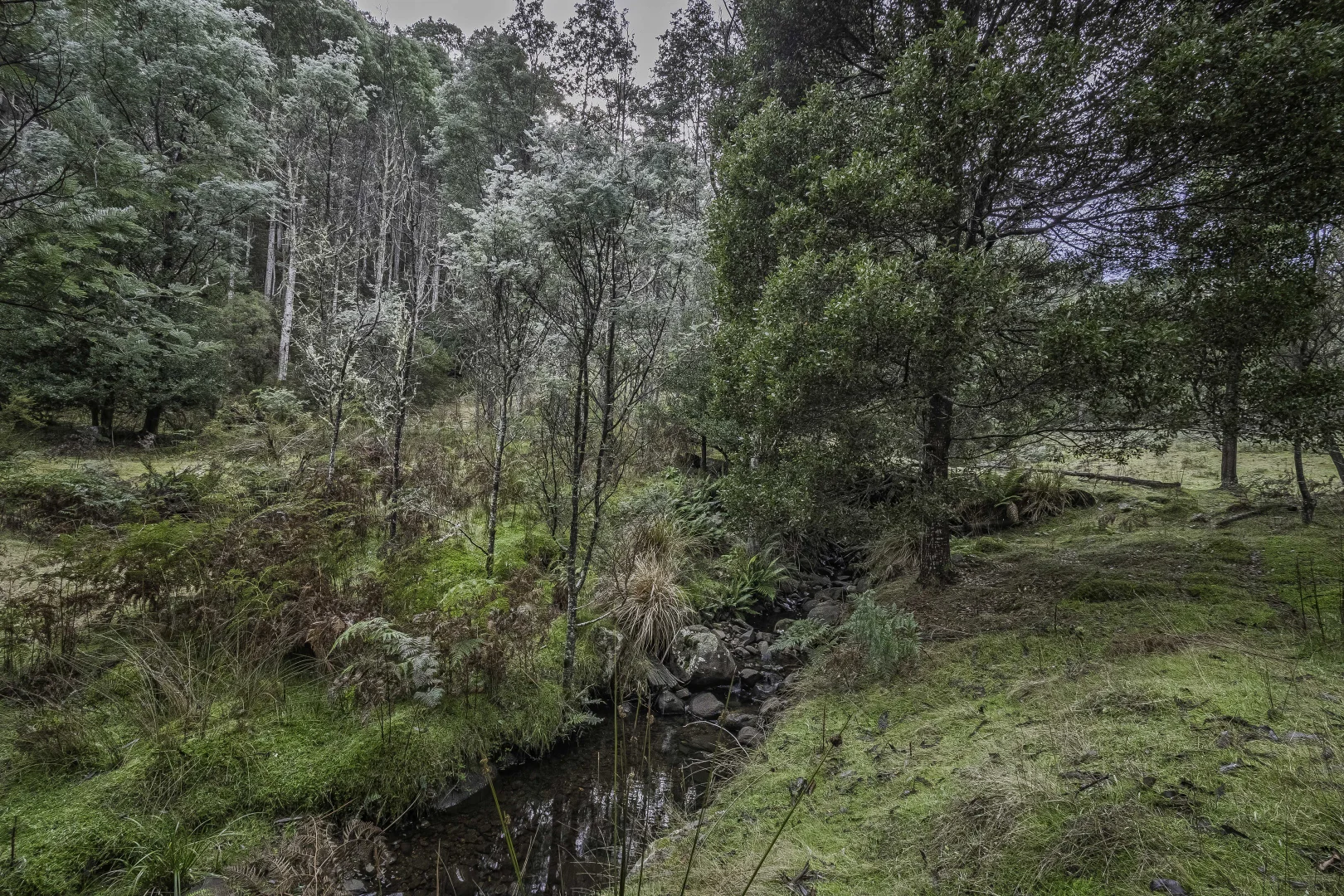 Additional image 14 of Judbury TAS 7109