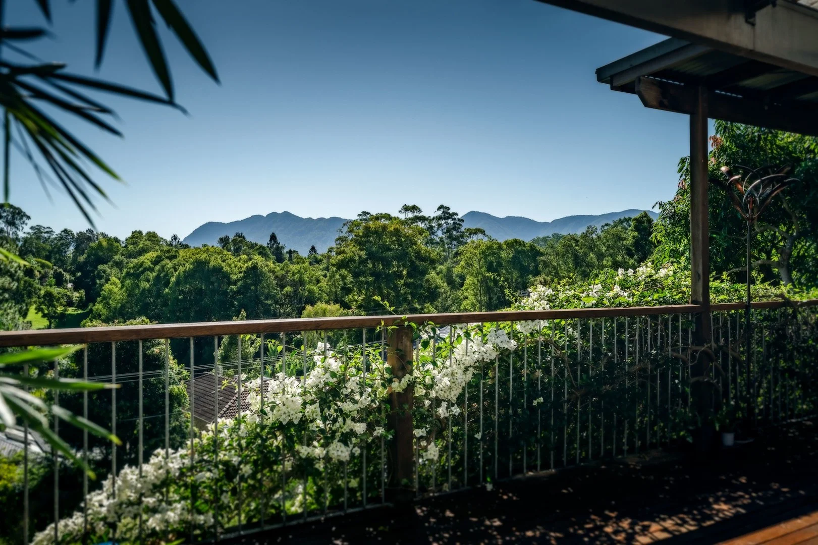 17 Lyon Street, Bellingen NSW 2454