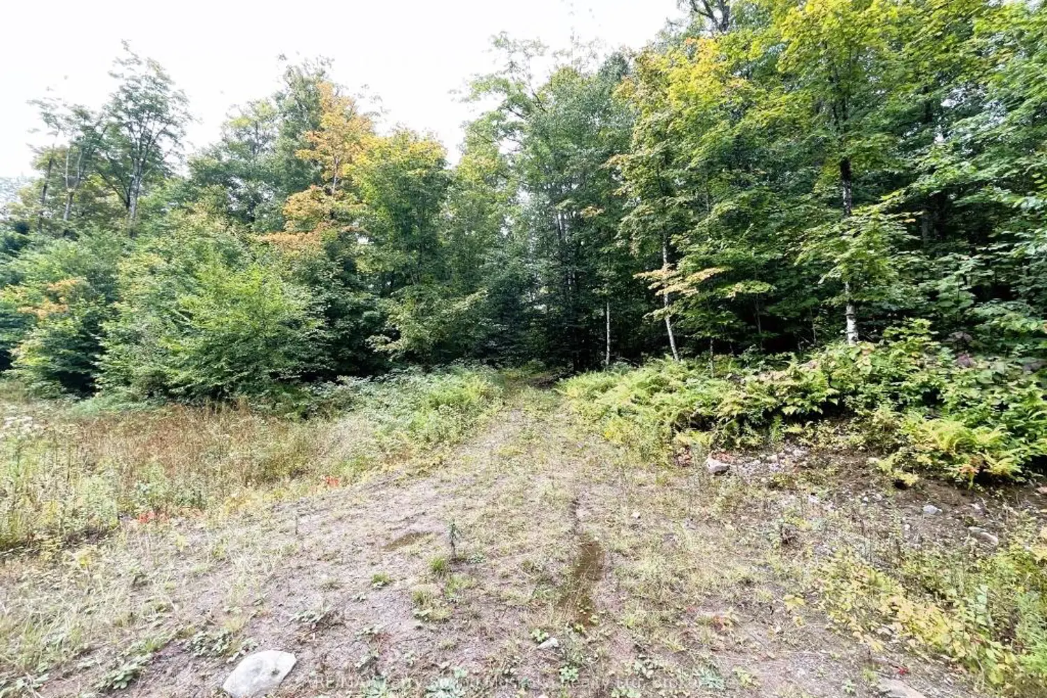 Additional image 6 of 75 Granite Drive