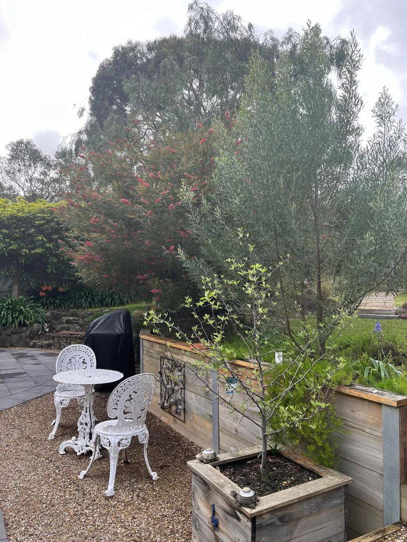 Additional image 20 of 7 - 9 Wright Street, Aireys Inlet VIC 3231