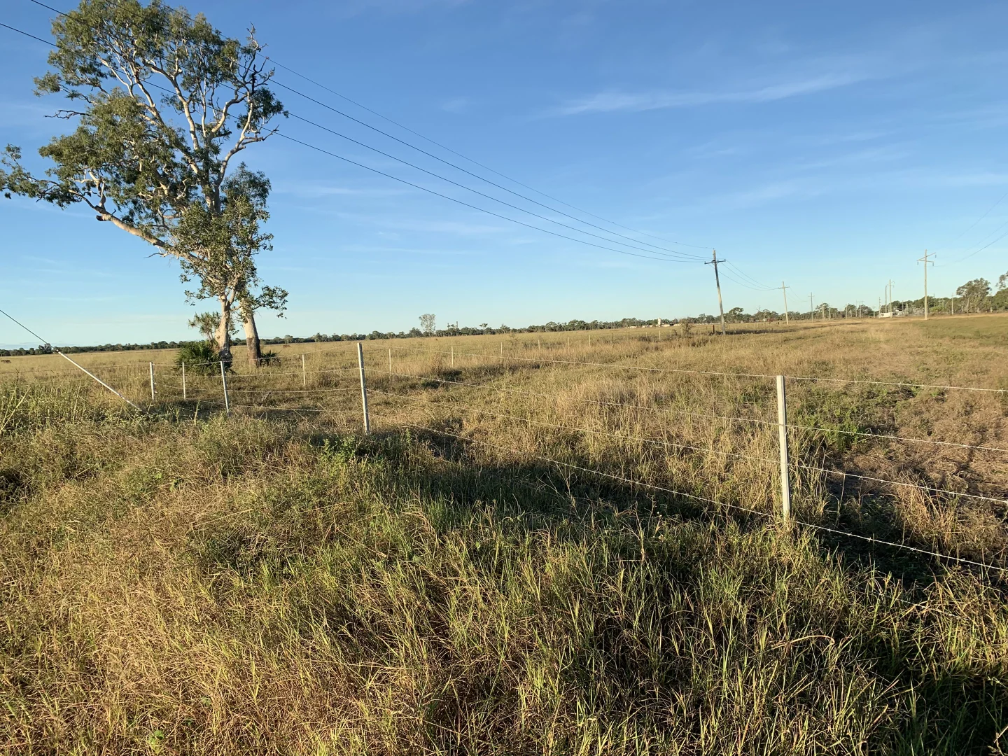 Additional image 4 of 300 Woodstock Giru Road, Mount Surround QLD 4809