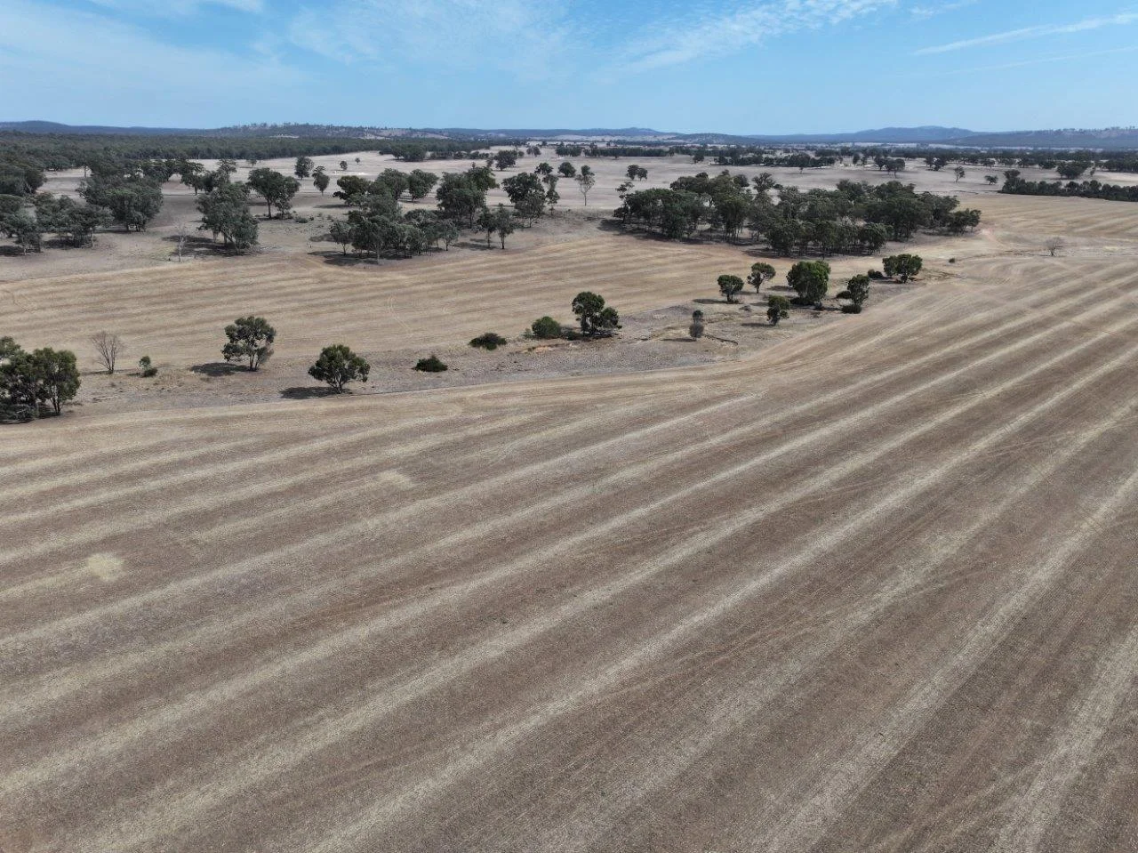 Additional image 6 of Lot 8 Dunolly-Orville Road, Murphys Creek VIC 3551