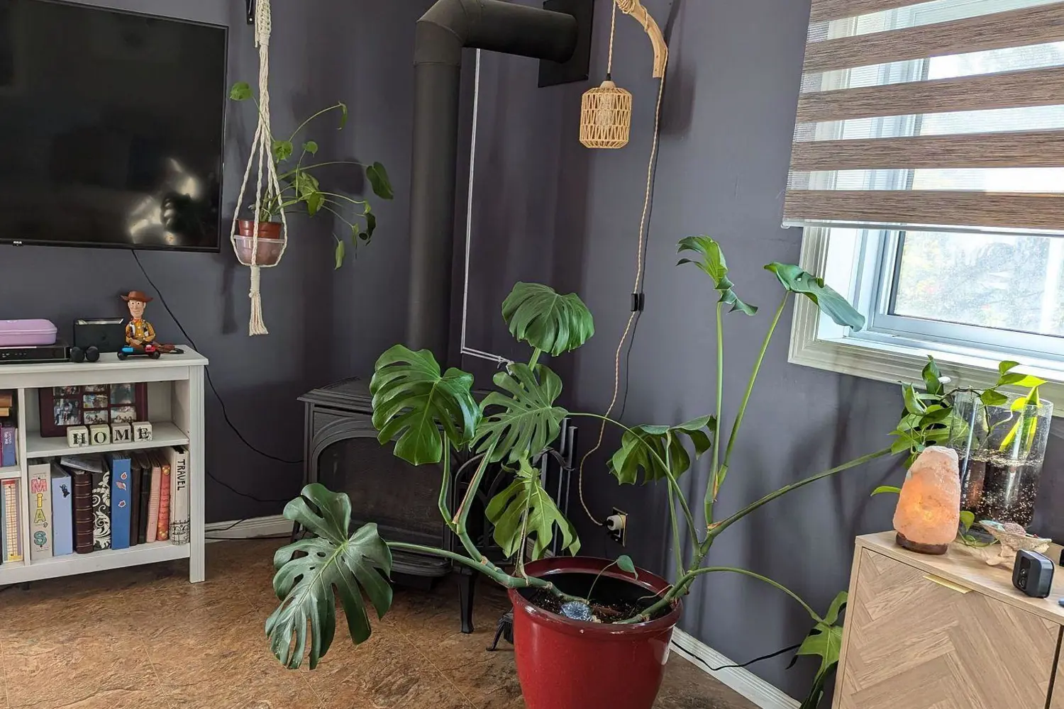 Additional image 5 of 521 Mccool Street