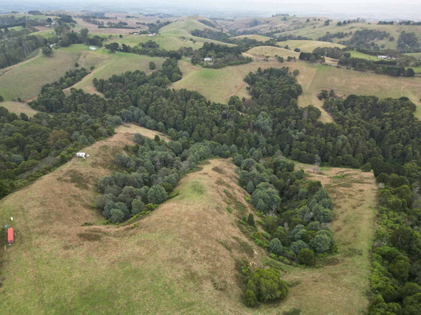 Additional image 2 of 478 Foster-Mirboo Road, Dollar VIC 3871