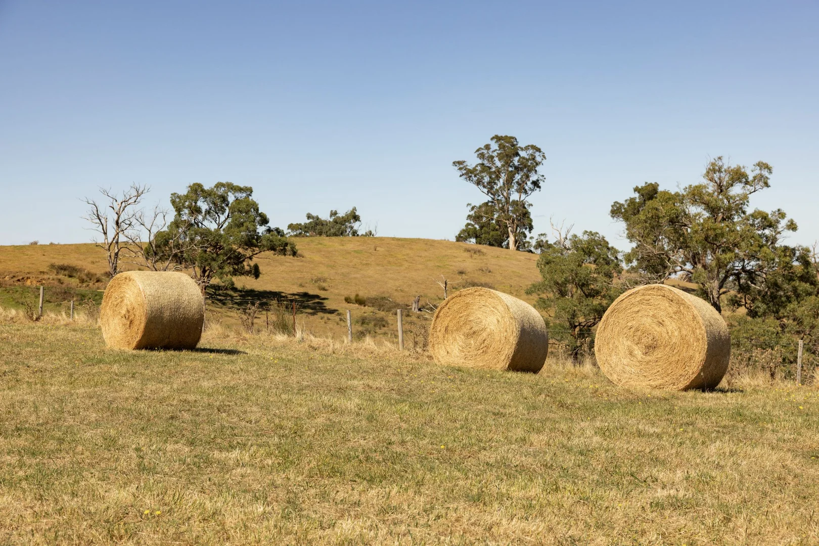 Additional image 25 of 270 Morrison Road, Pakenham Upper VIC 3810