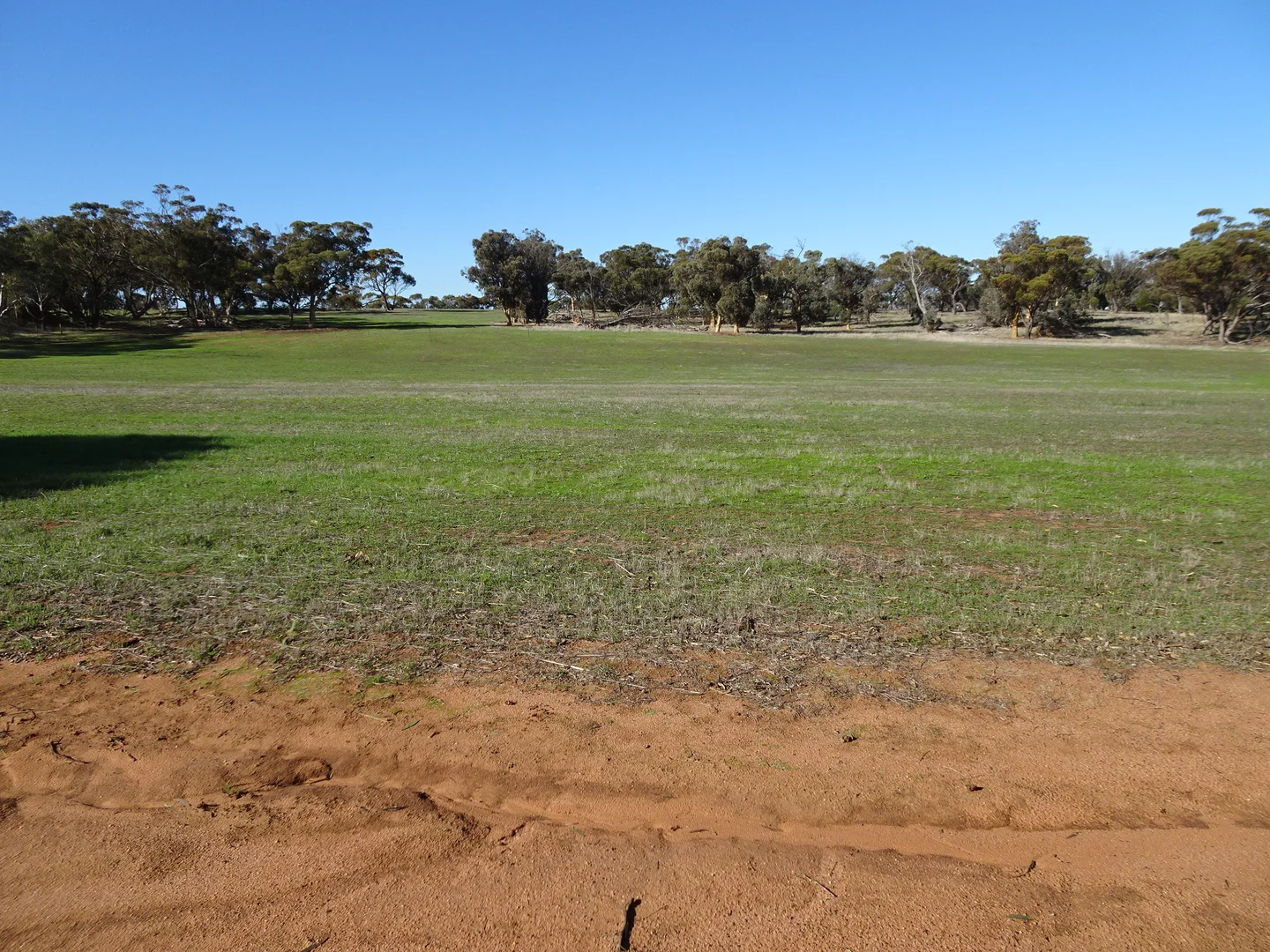 Additional image 17 of Shaddick Road, East Pingelly WA 6308