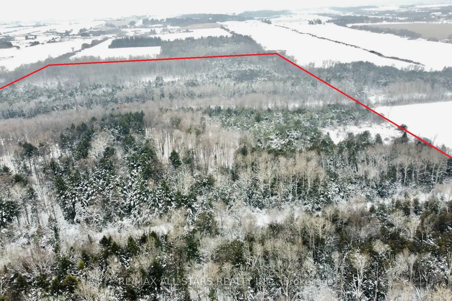 Additional image 6 of 15672 Warden Avenue