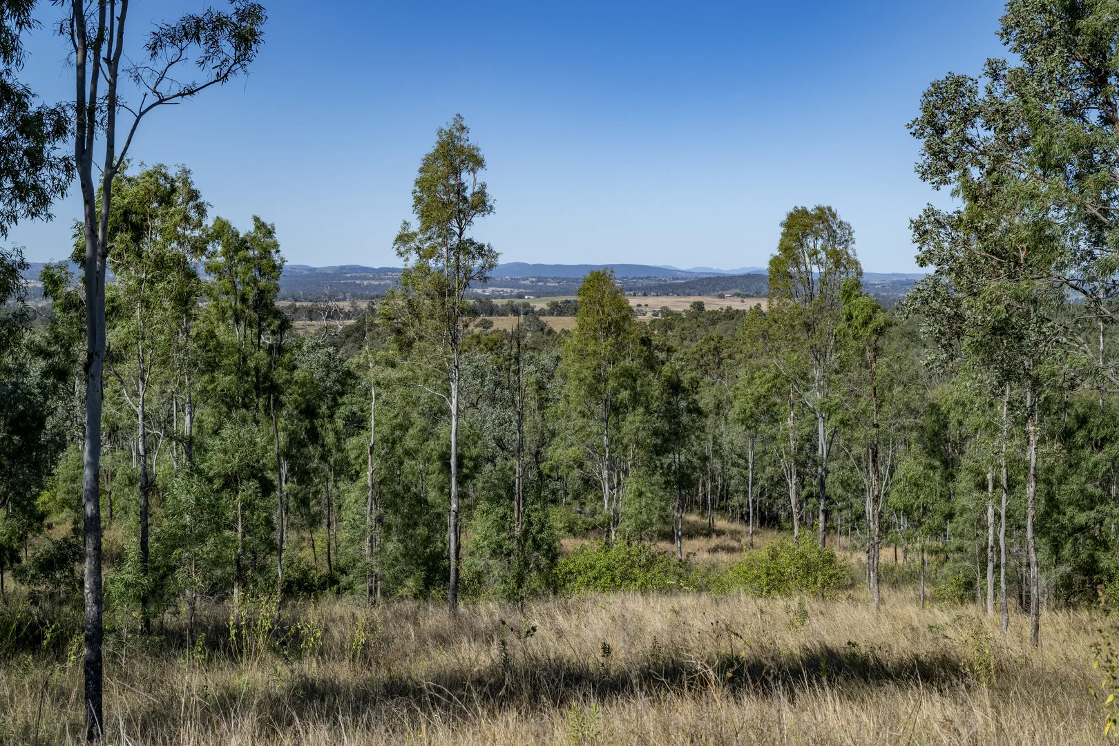 Additional image 21 of Lot 1,2,3,4 & 5 Rosewood-Warrill View Road, Coleyville QLD 4307