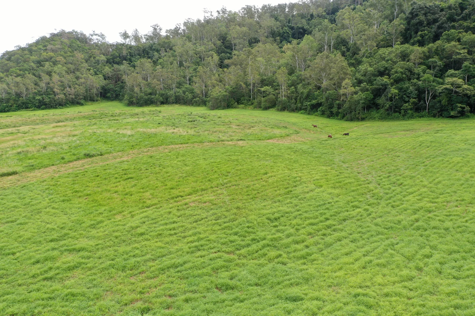 Additional image 7 of Gillies Range Road, Little Mulgrave QLD 4865