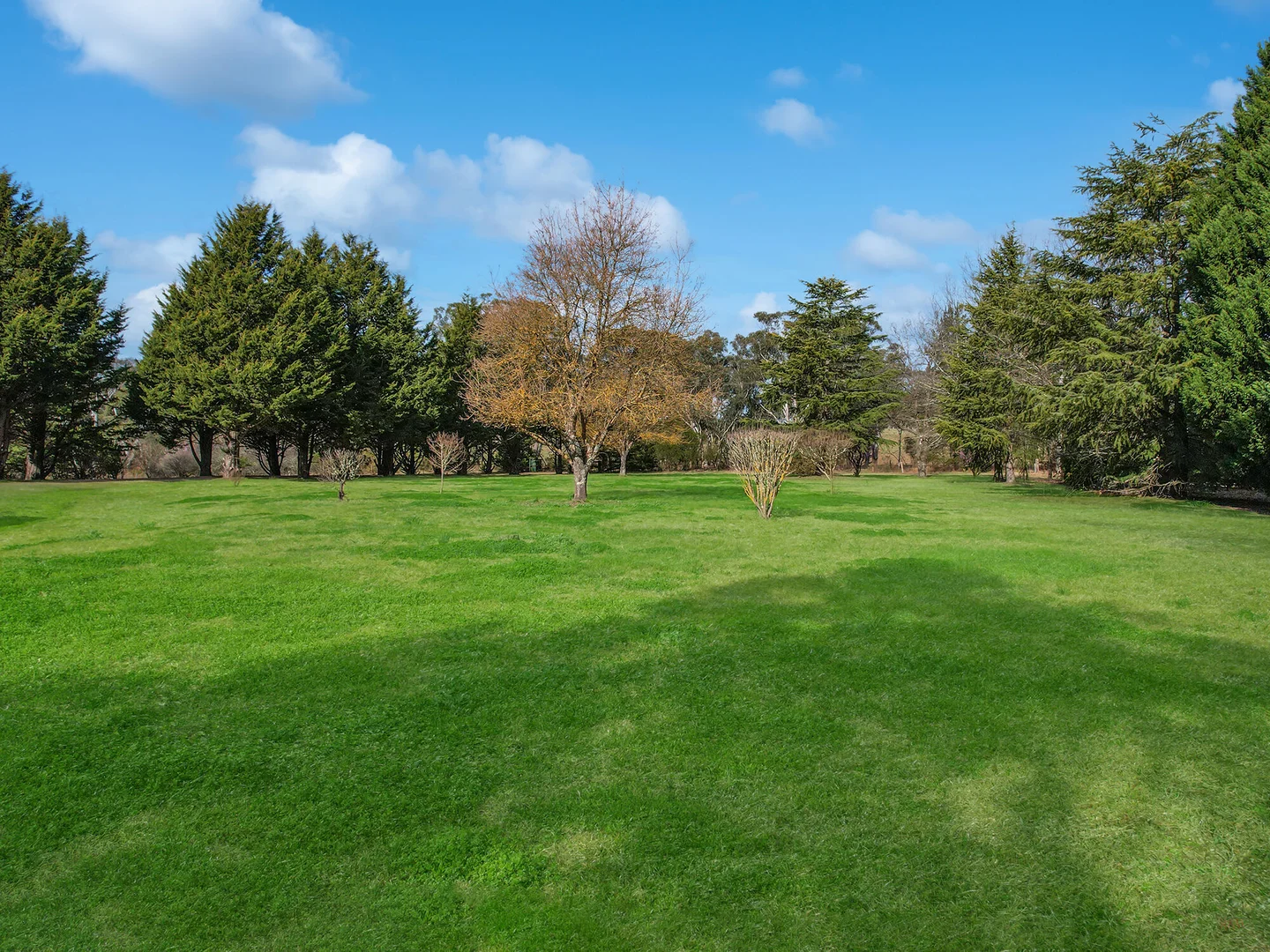 Additional image 7 of 551 Inverary Road, Paddys River NSW 2577