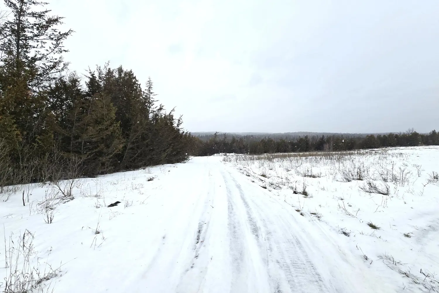 Additional image 17 of 0 Shannonville Road