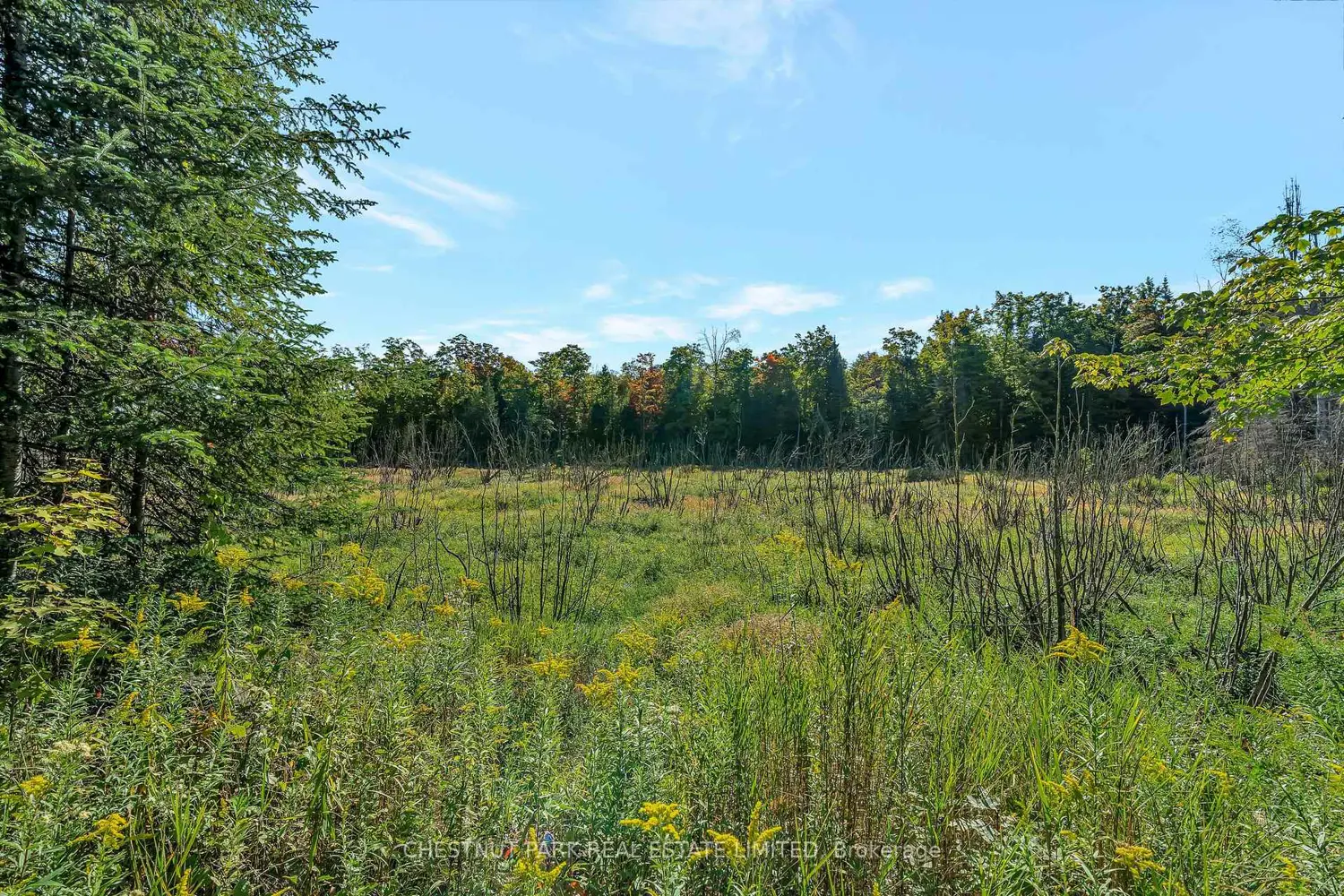 Additional image 16 of 682 Felbers Road