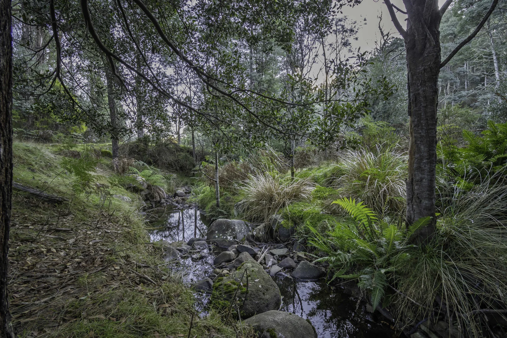 Additional image 17 of Judbury TAS 7109