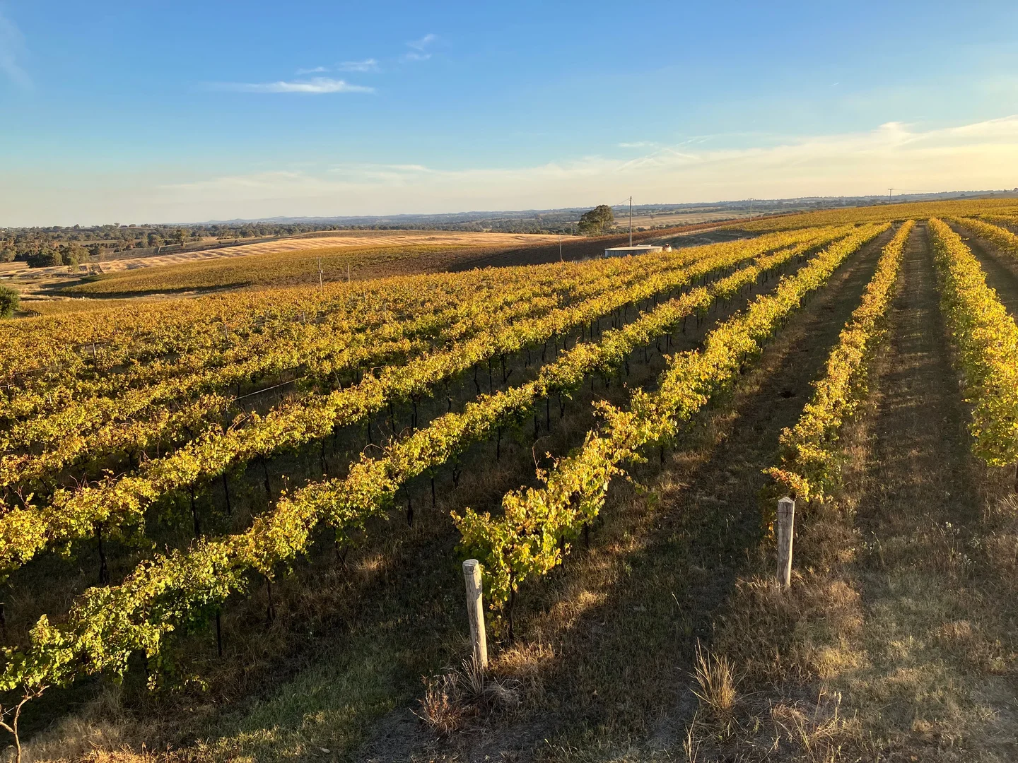 Additional image 5 of Kingsvale NSW 2587